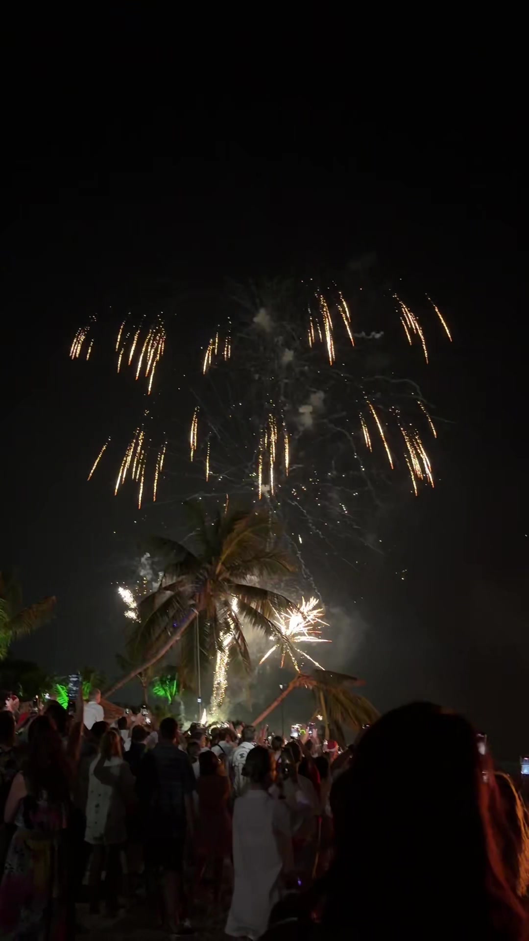 @Shoreline Thoddoo