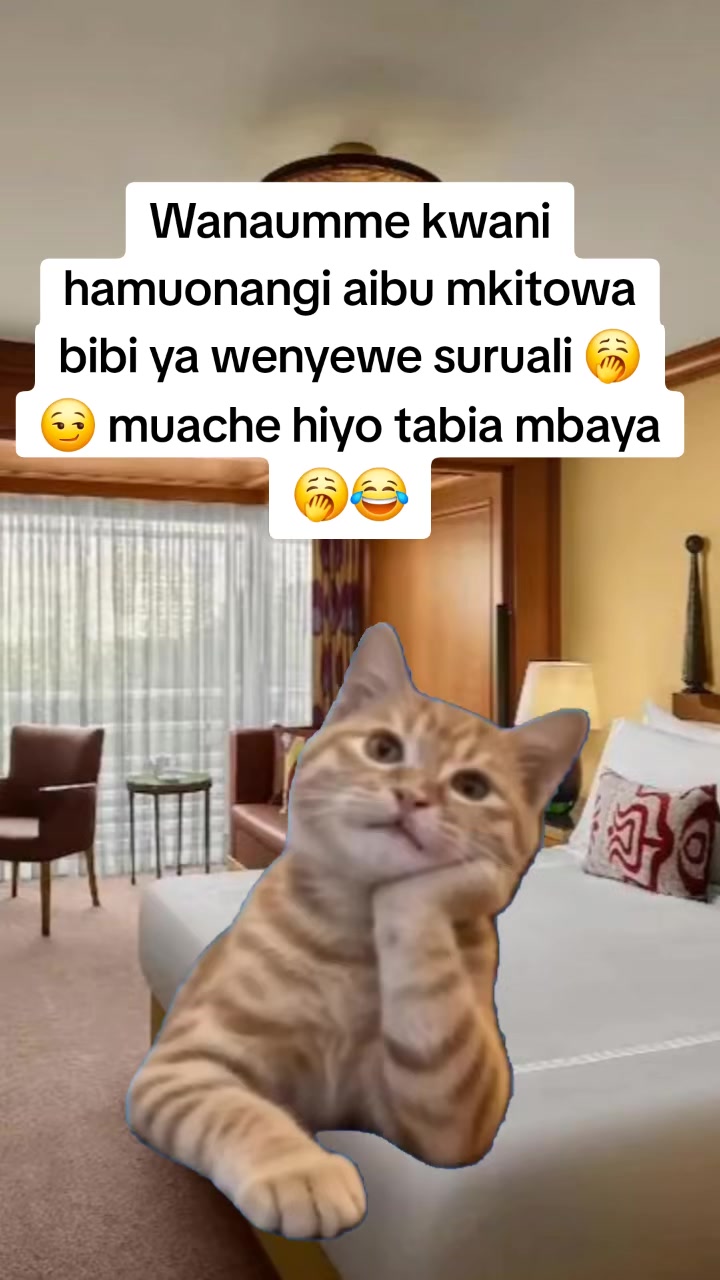 @Miss Vibez ๐ค๐๐