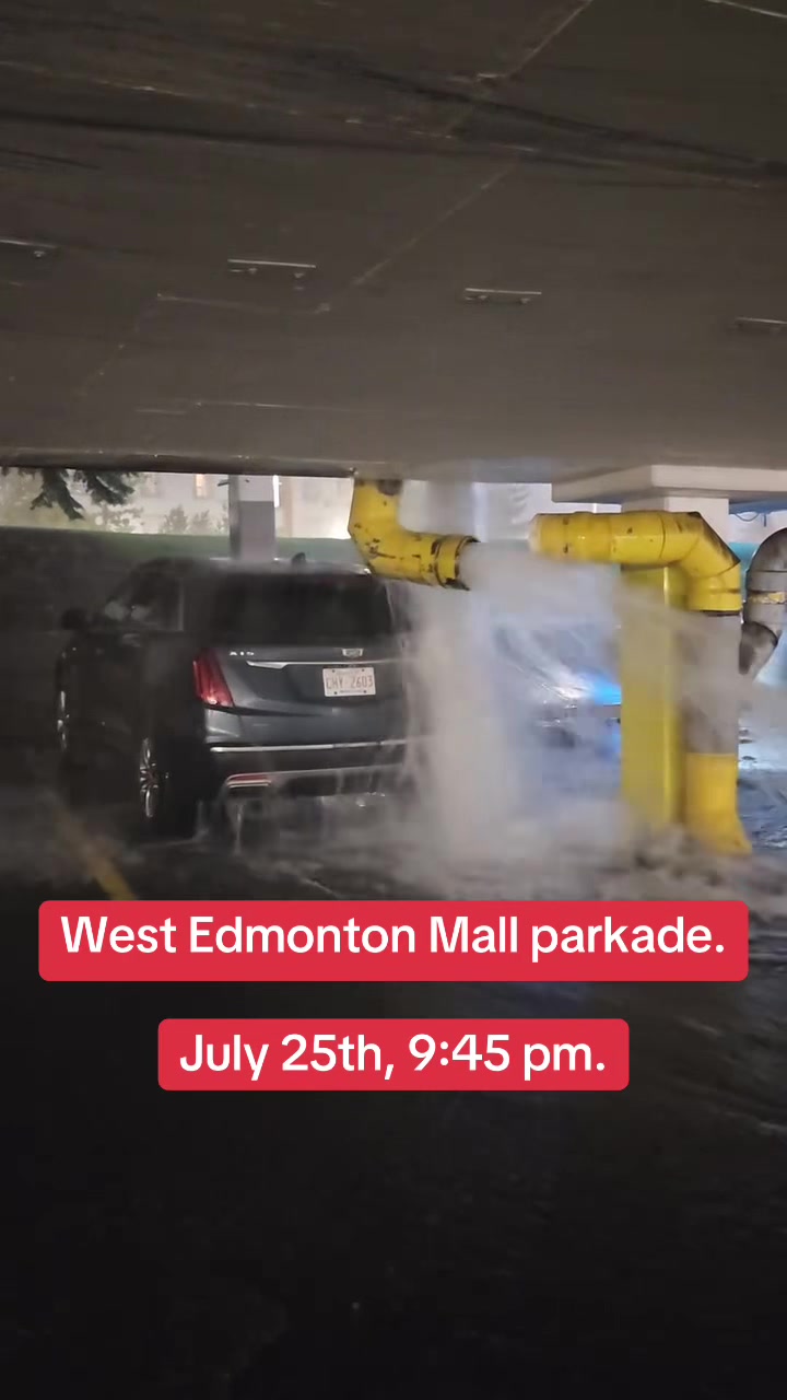 @Bad Driver Edmonton