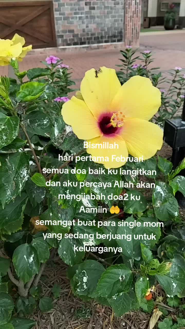 @dhesri73