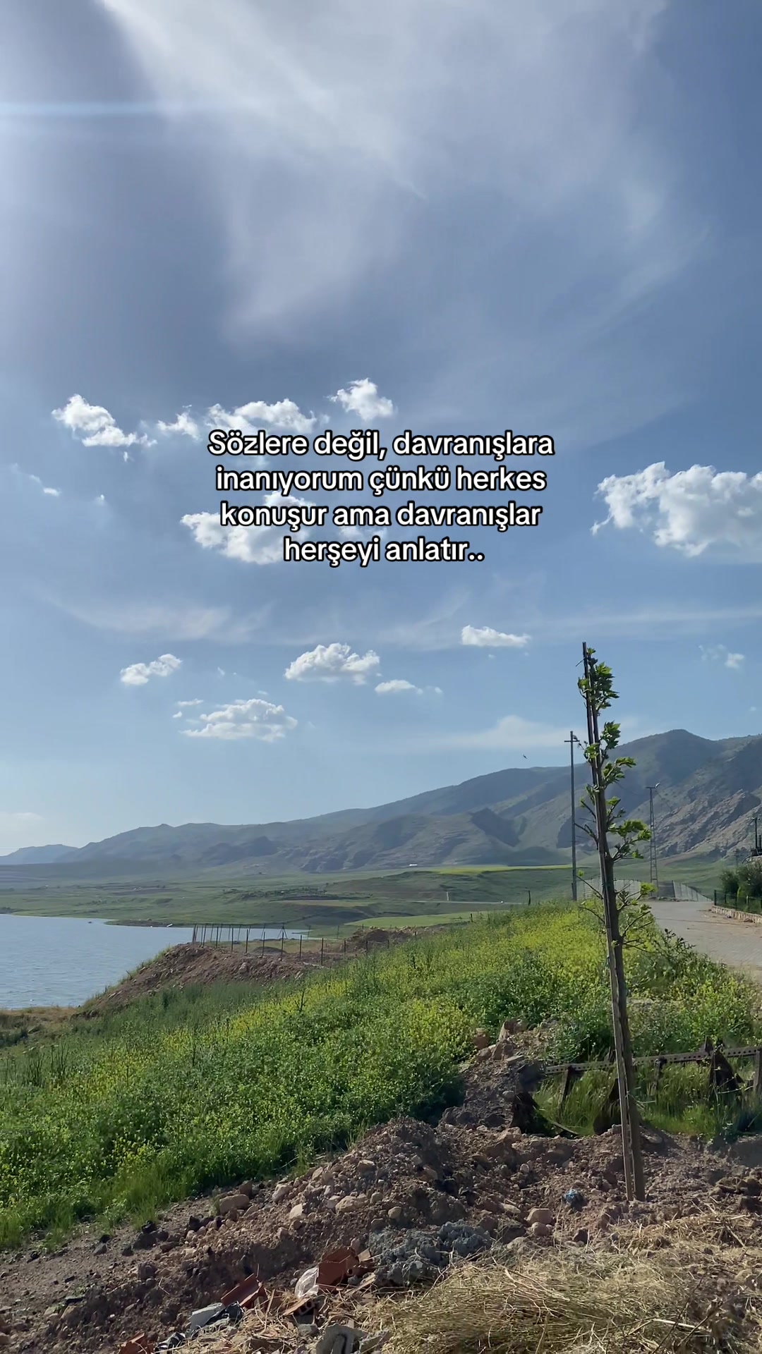 @🕊️
