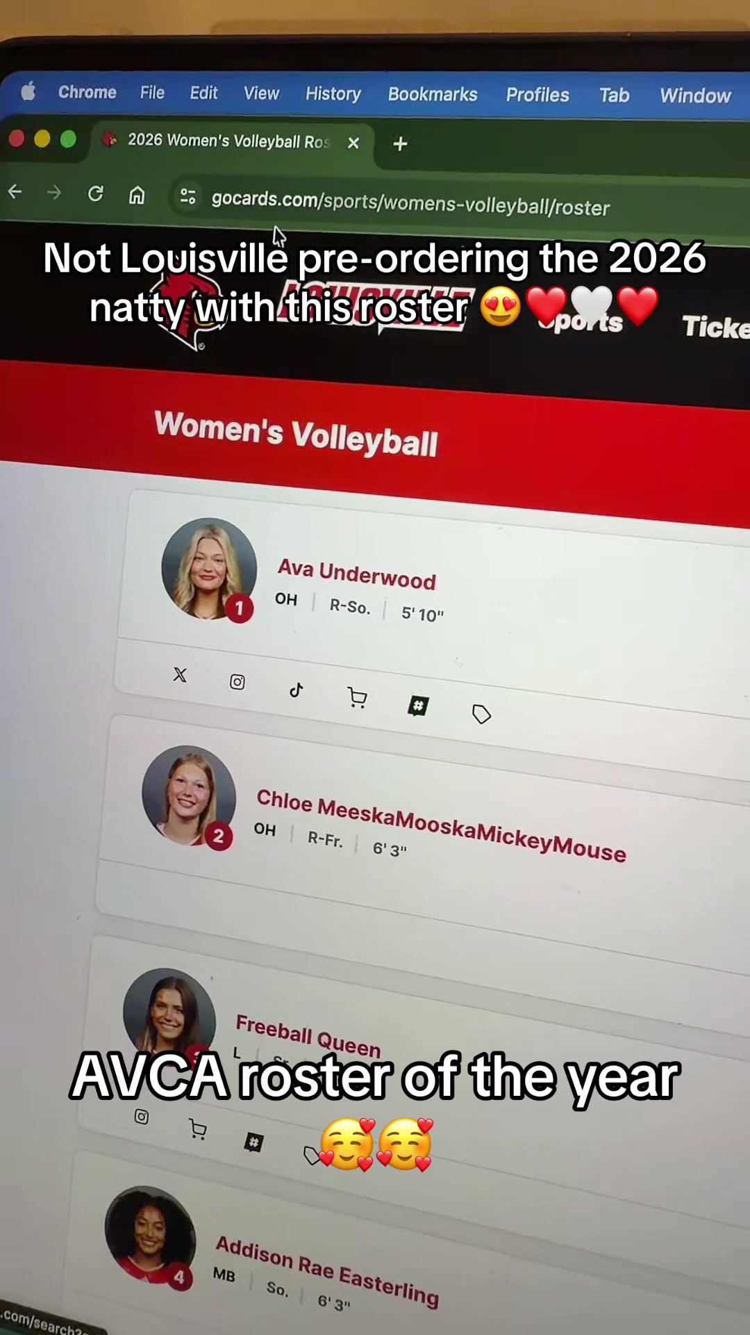 @ncaavballfan