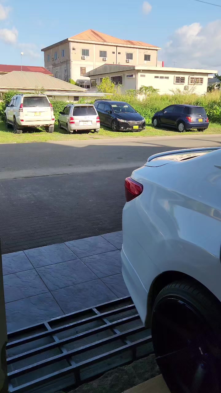@EL Dingo