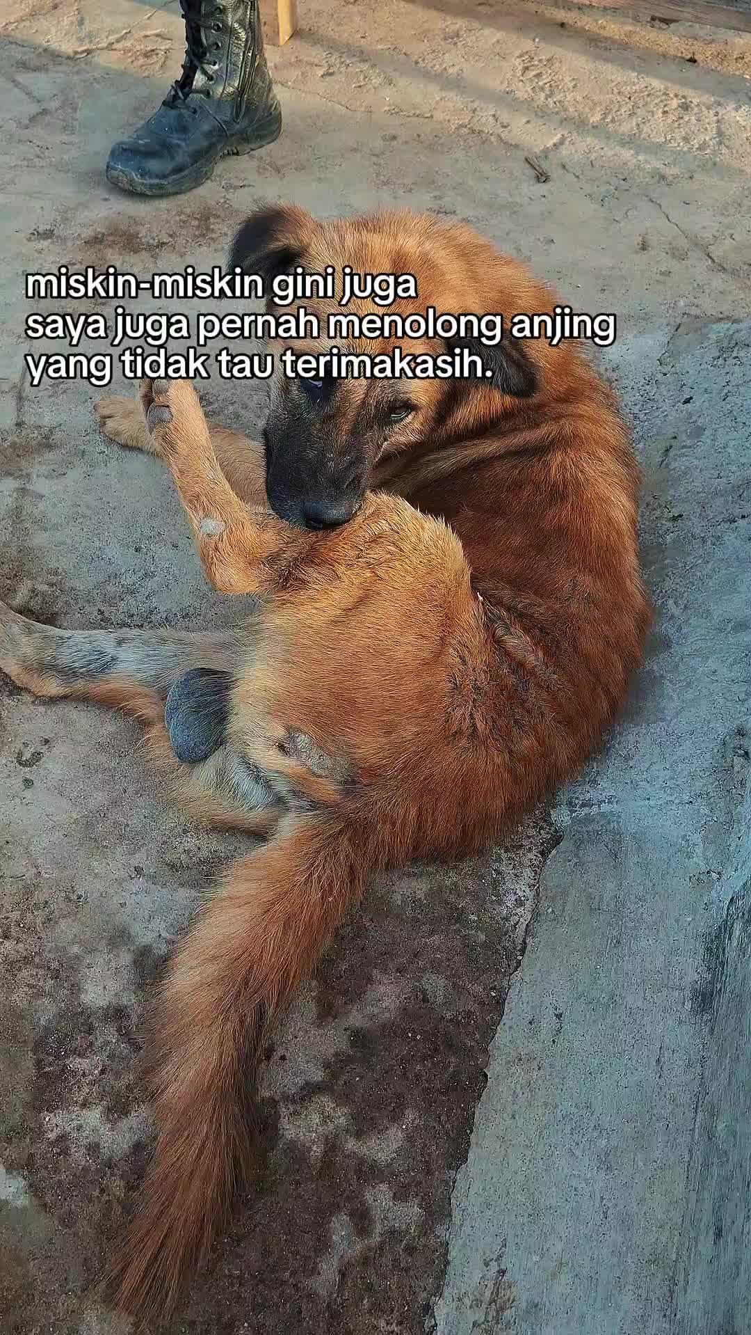 @𝐮𝐥𝐭𝐫𝐚𝐦𝐞𝐧 𝐆𝐞𝐧 𝐙