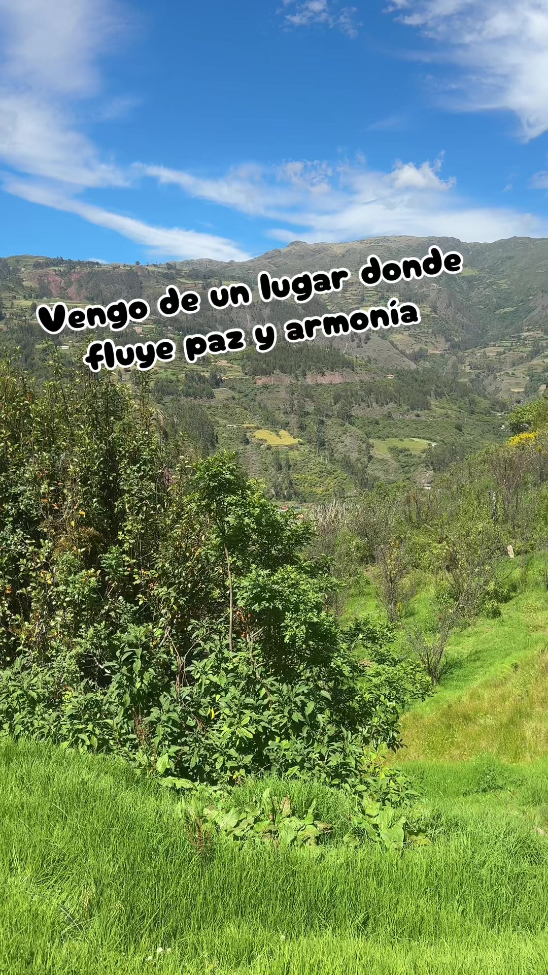 @MERAC✨