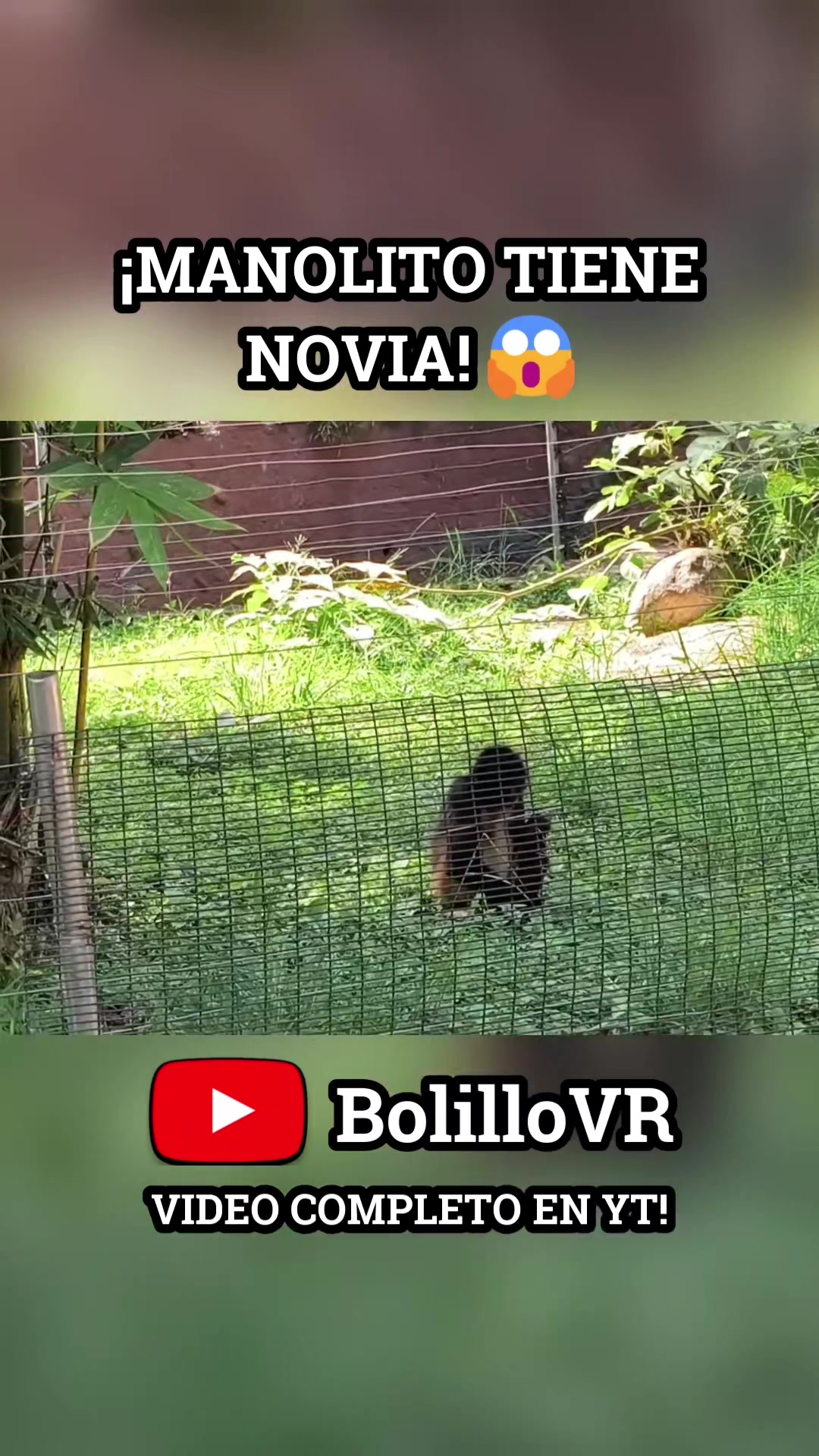 @BolilloVR
