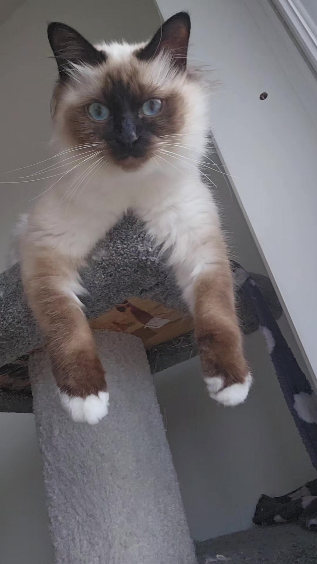 @L&eacute;o & Suki &hearts;️
