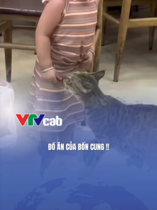 @VTVcab Trending - Giải trí