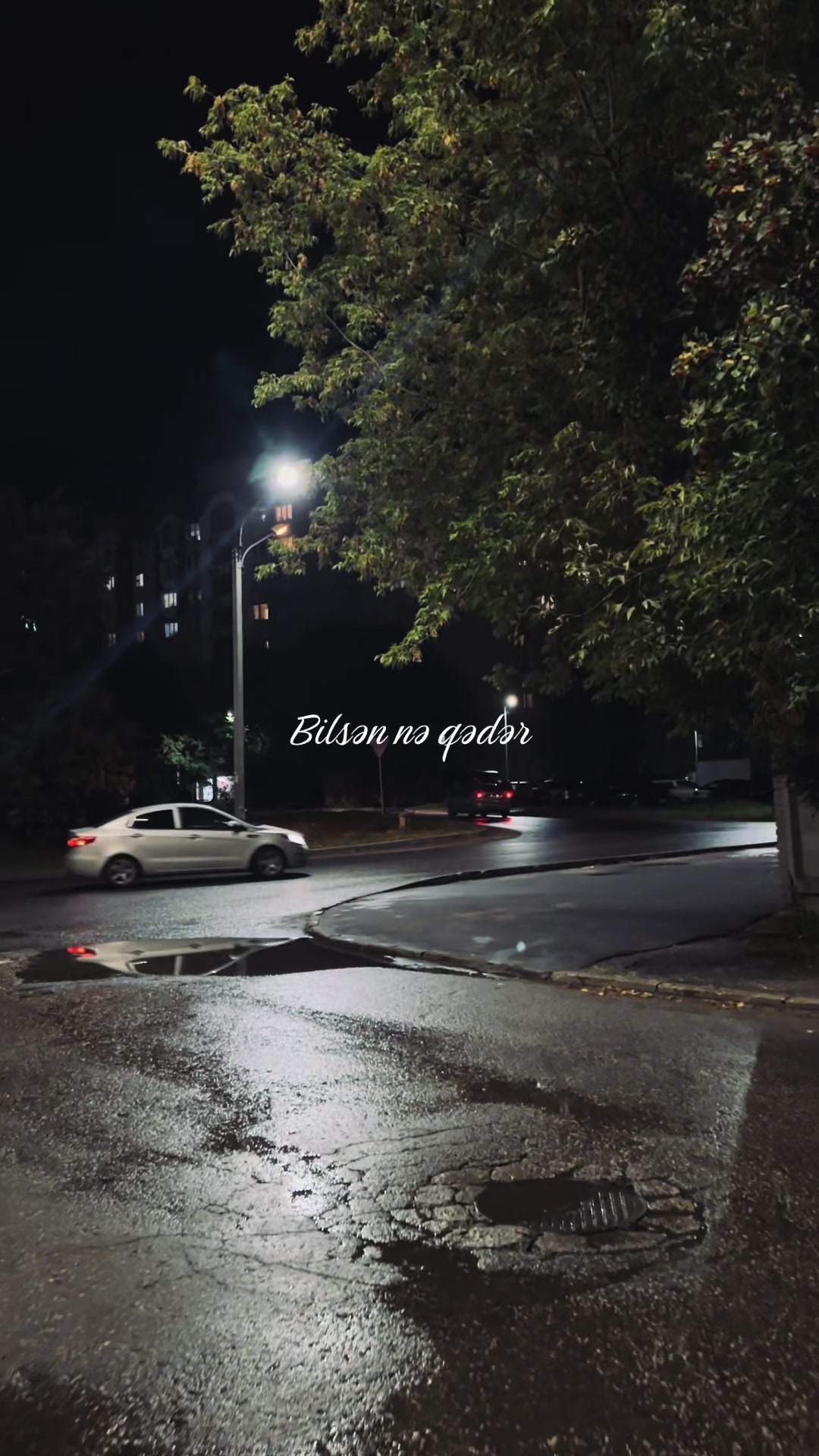 @Memmedows#END🩸