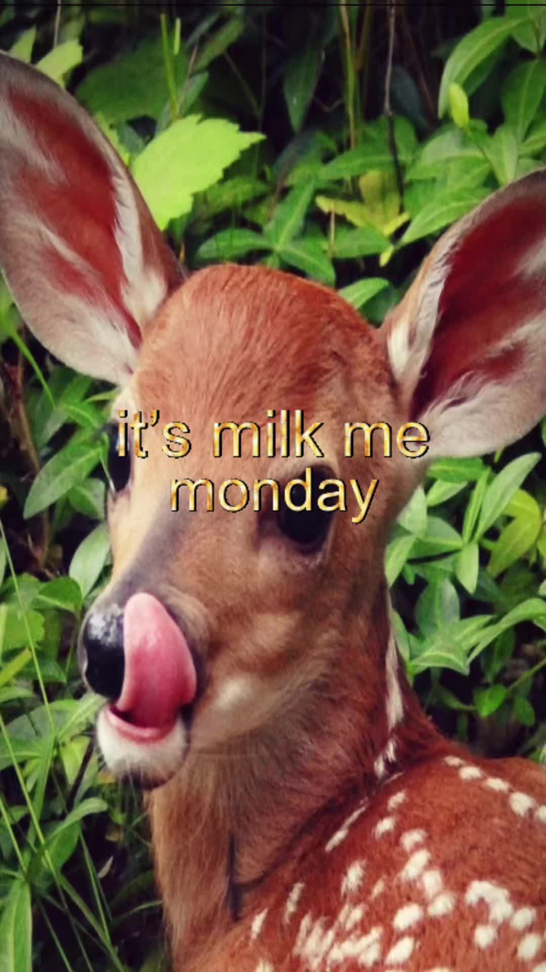 @livinlikedis