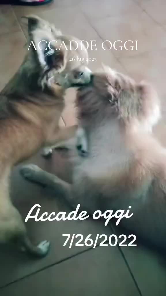 @ℭ𝔦𝔫𝔷𝔦𝔞𝔏𝔞𝔇𝔦𝔳𝔞