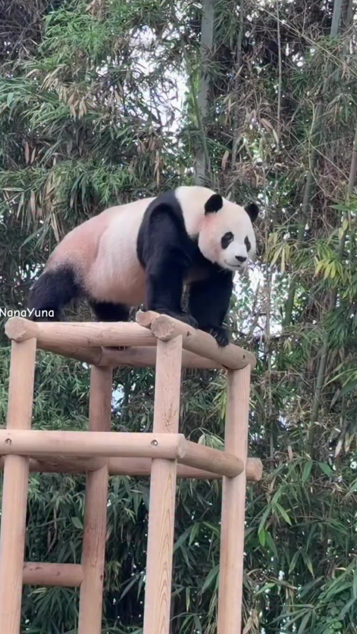 @FuRuHu