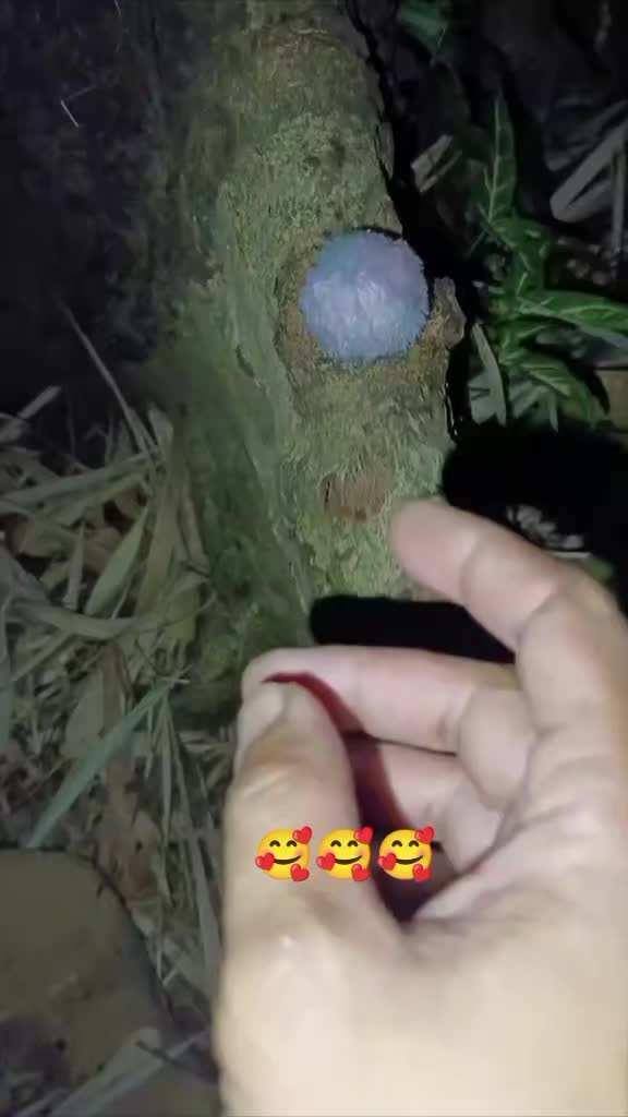 @Funny Boy😂🤣