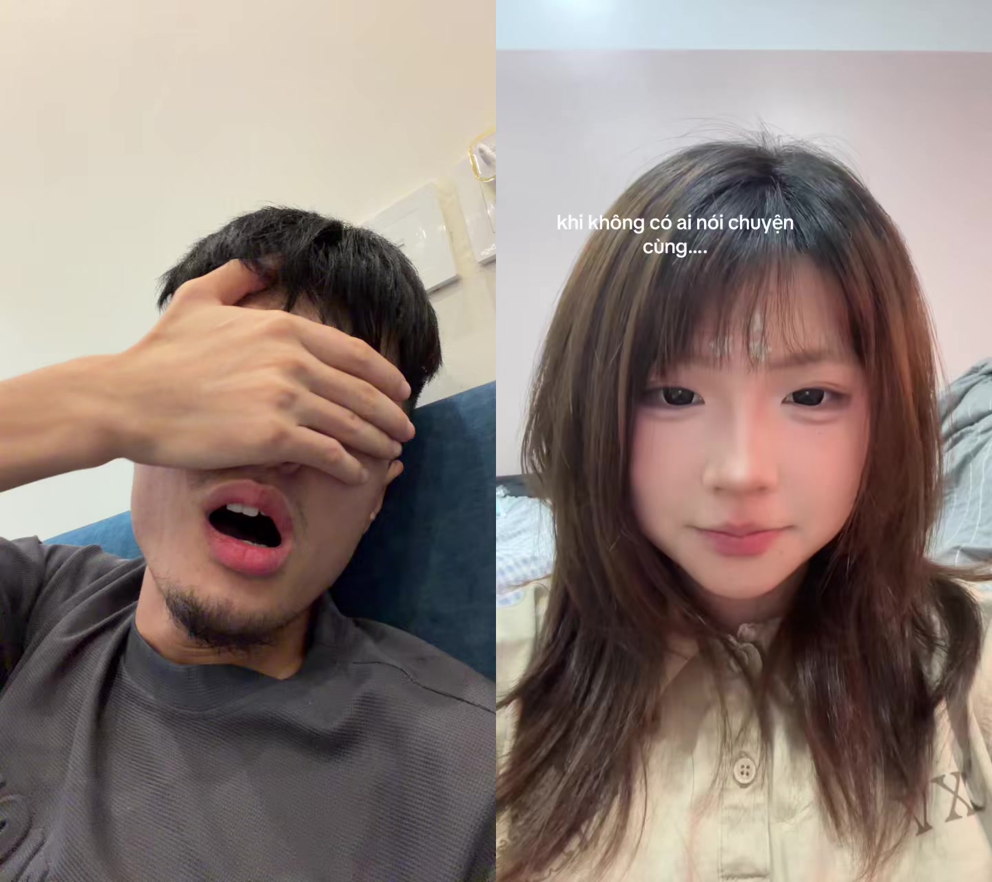 @Hoàng MoBi 💎