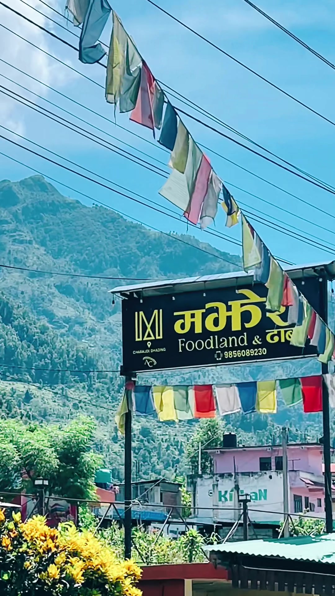 @Rozy shrestha