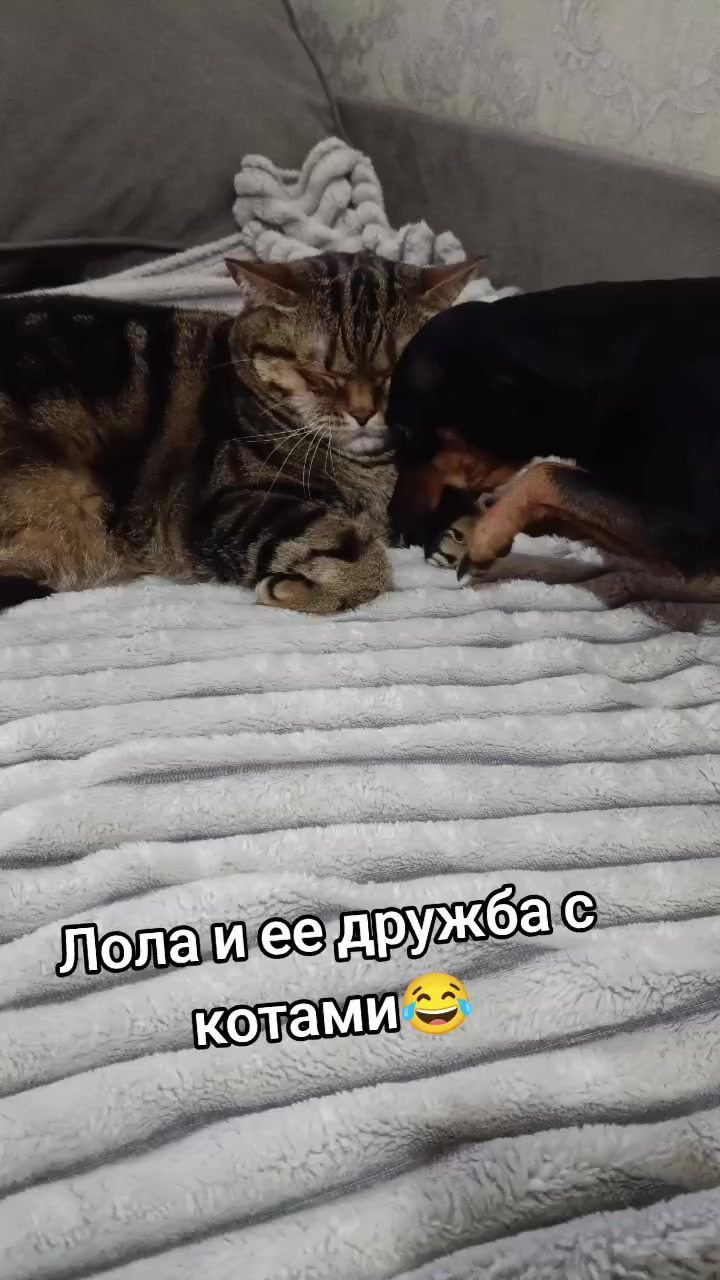 @Viktoriya