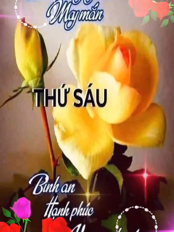@Huỳnh Văn Được