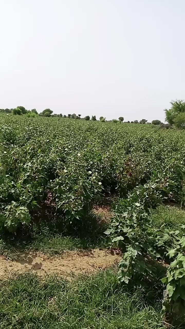 @M Sajjad Hvac