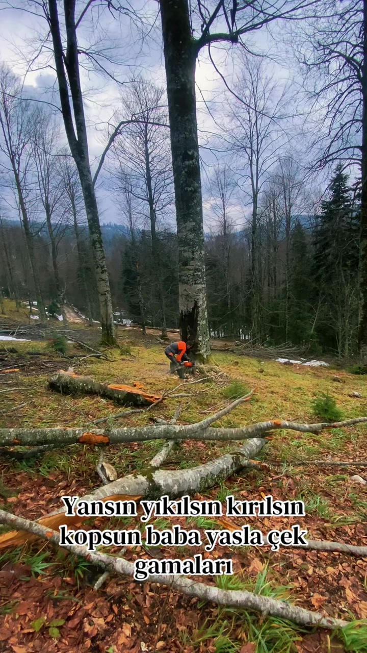 @RECEP KARAG&Uuml;LL&Uuml; 81 61