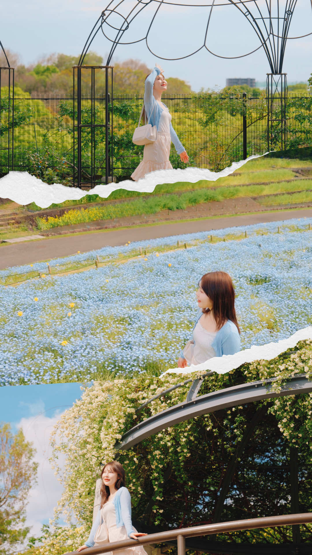 @シライフウタ