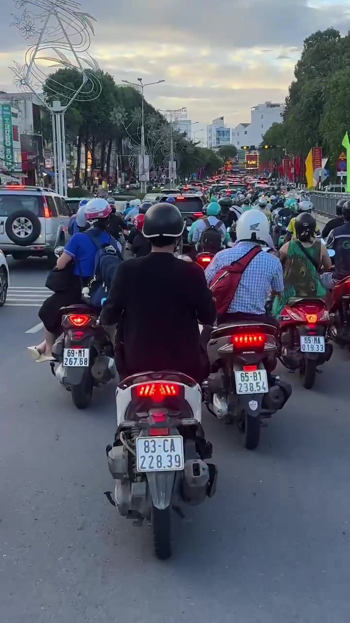@Mậu Dần