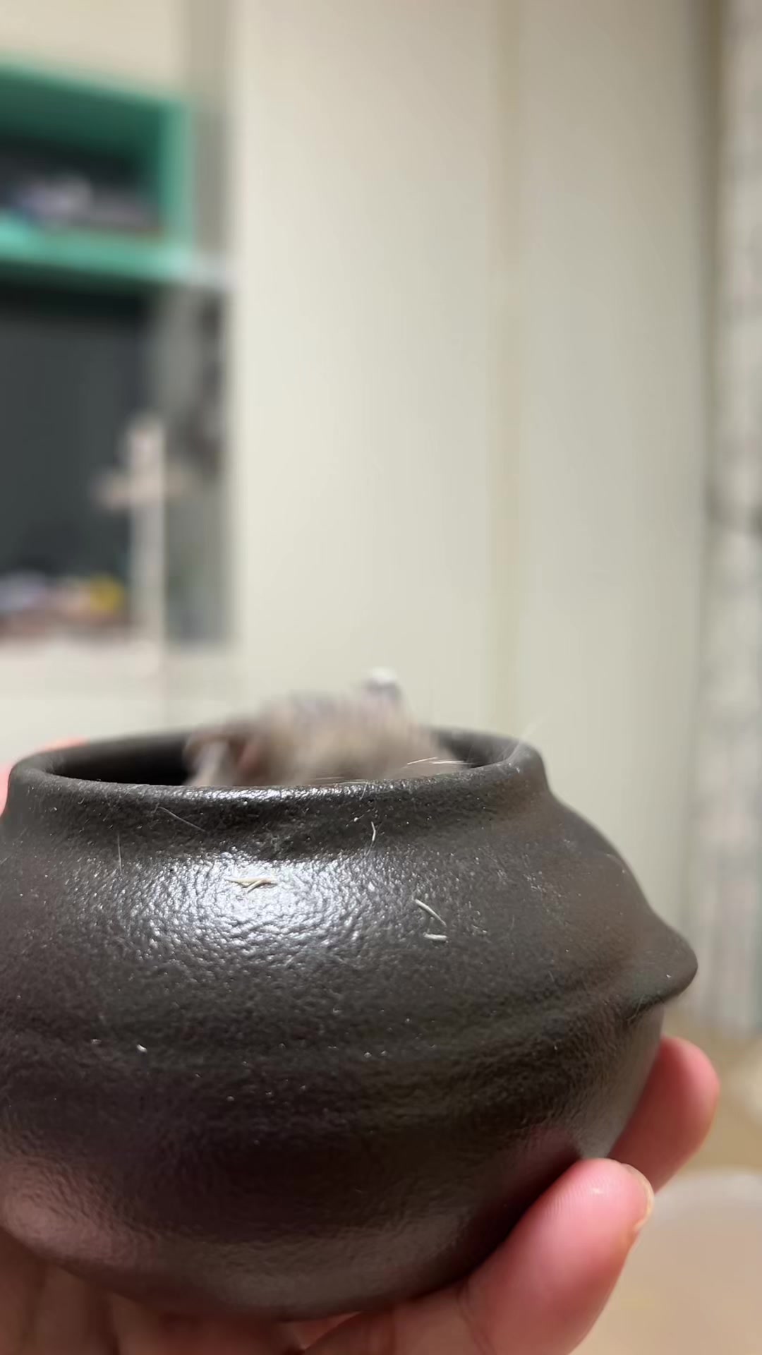 @𝒆𝒍𝒍𝒂✨