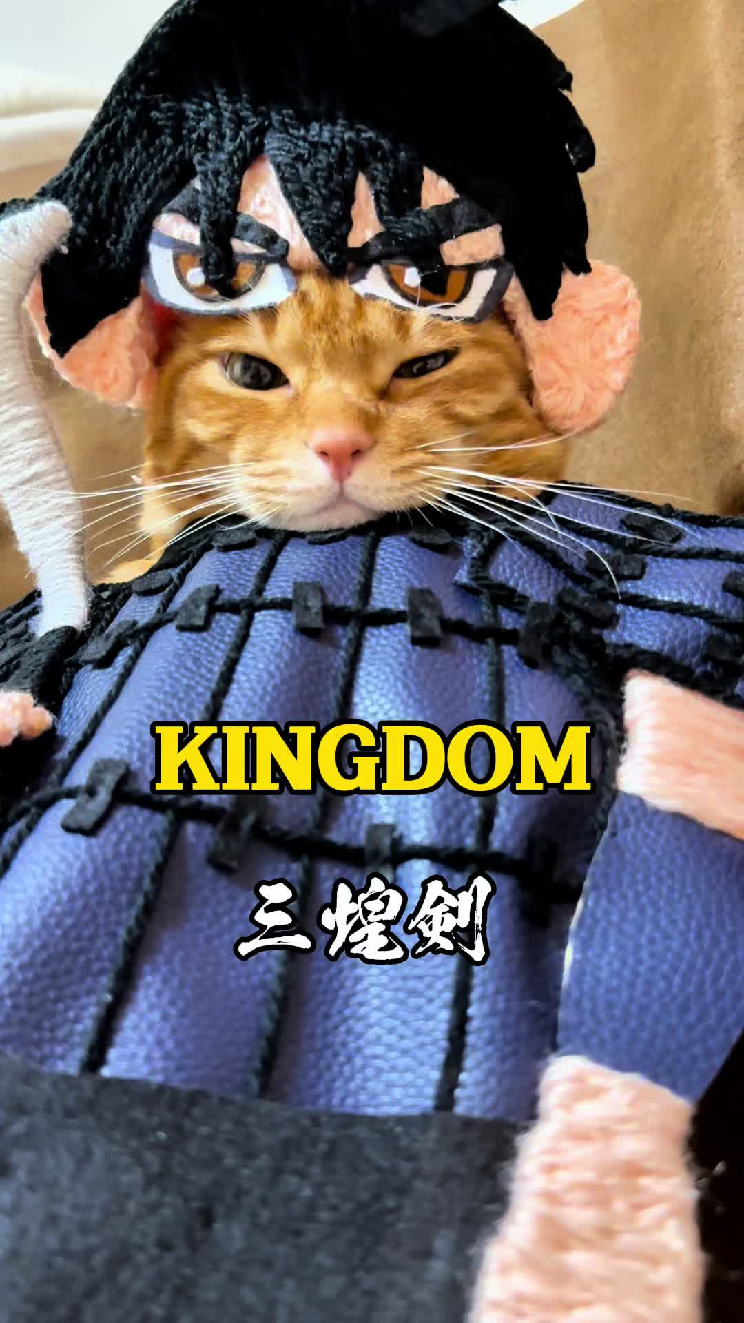 @猫の神様