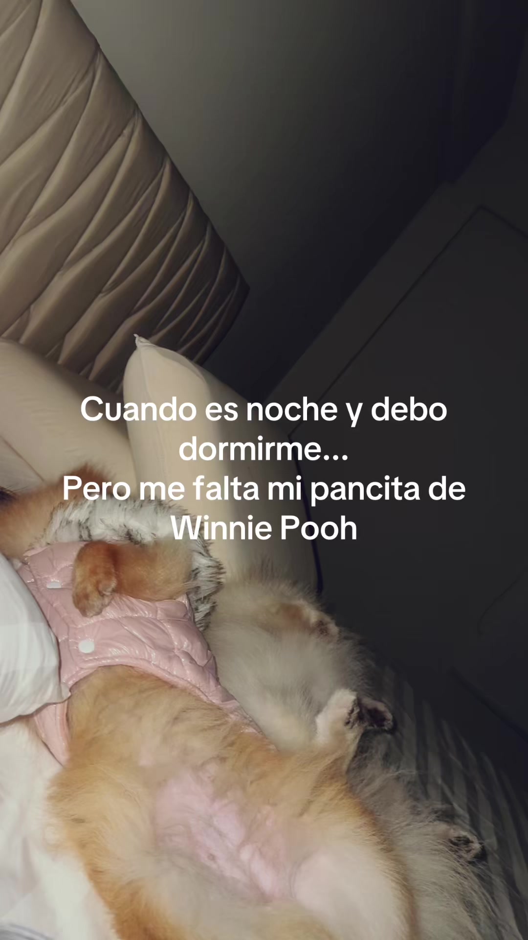 @Yannine Molina