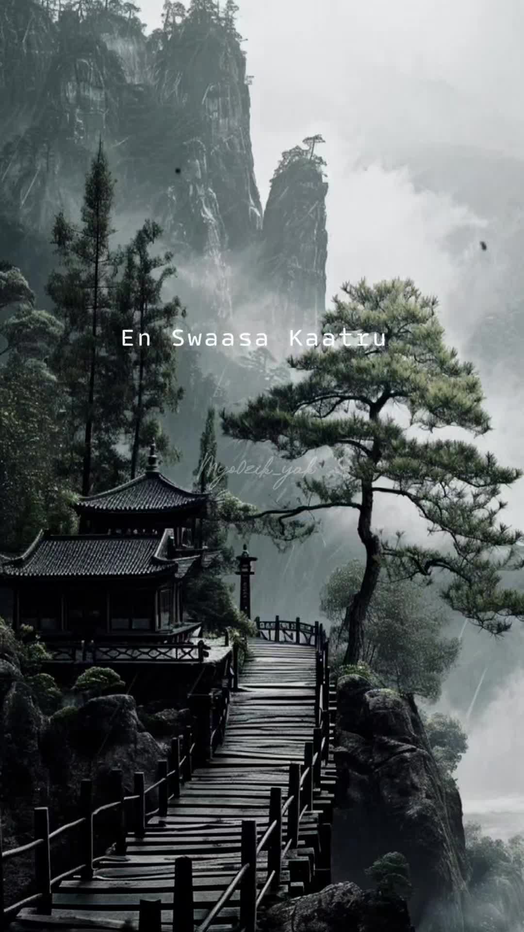 @ꪑꪗꪮ੦ɀỉƙ_ꪗꪖƙ ♪♫♬ 🧬