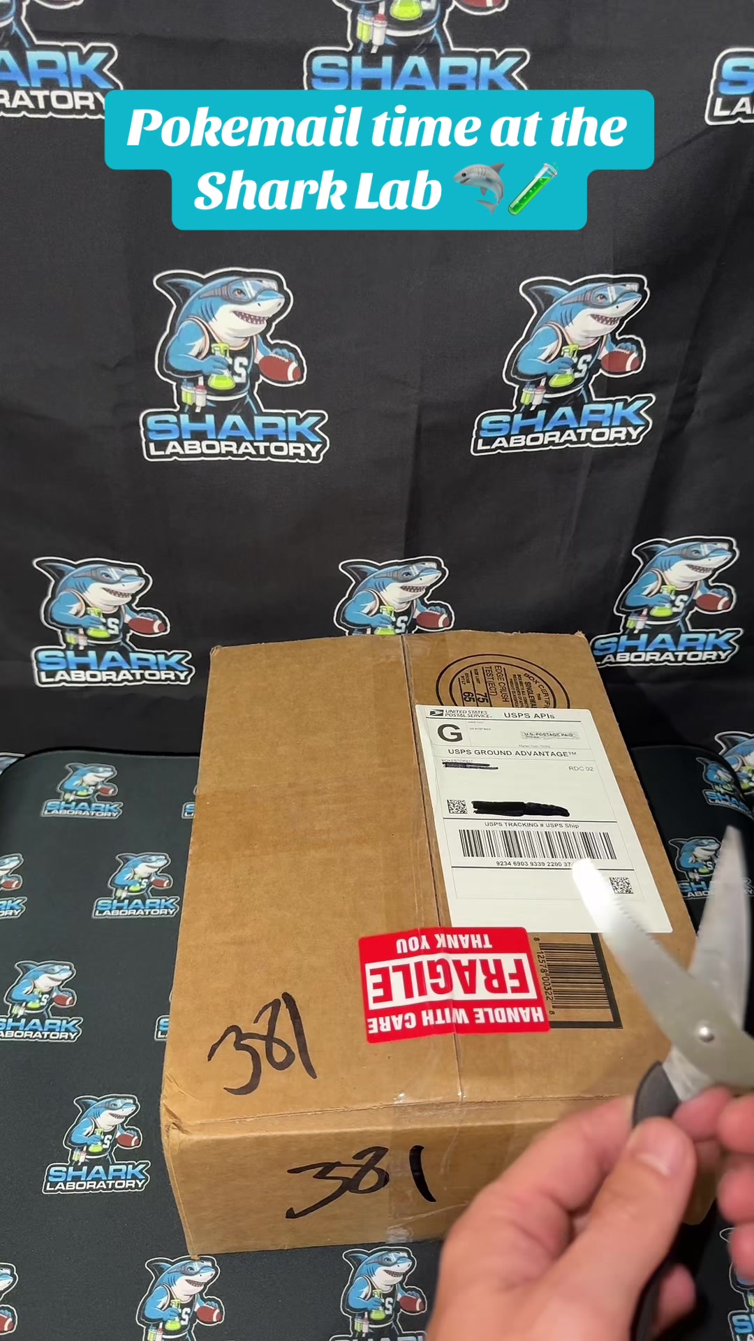 @Shark Sports Breaks