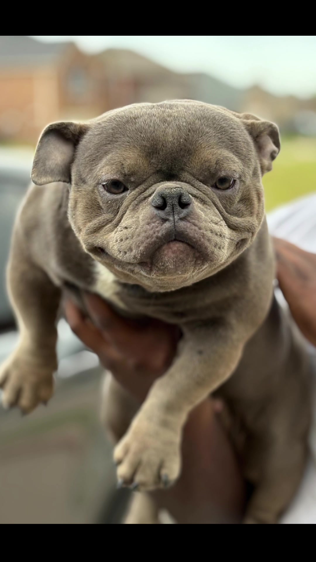 @Block oi Ross
