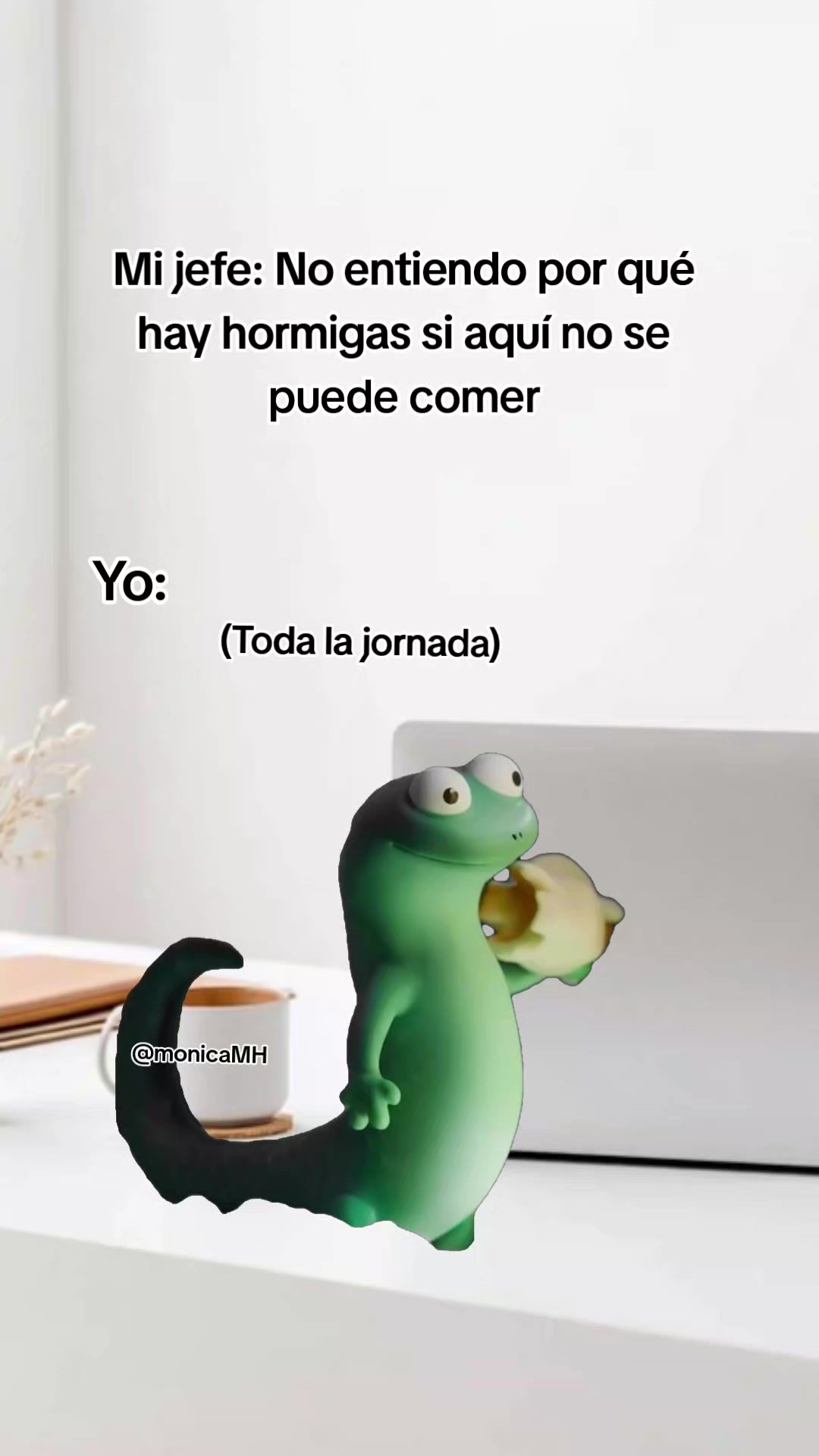 @Mónica MH