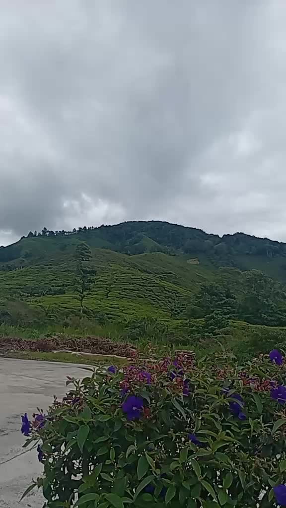 @Thanusri Thanusri