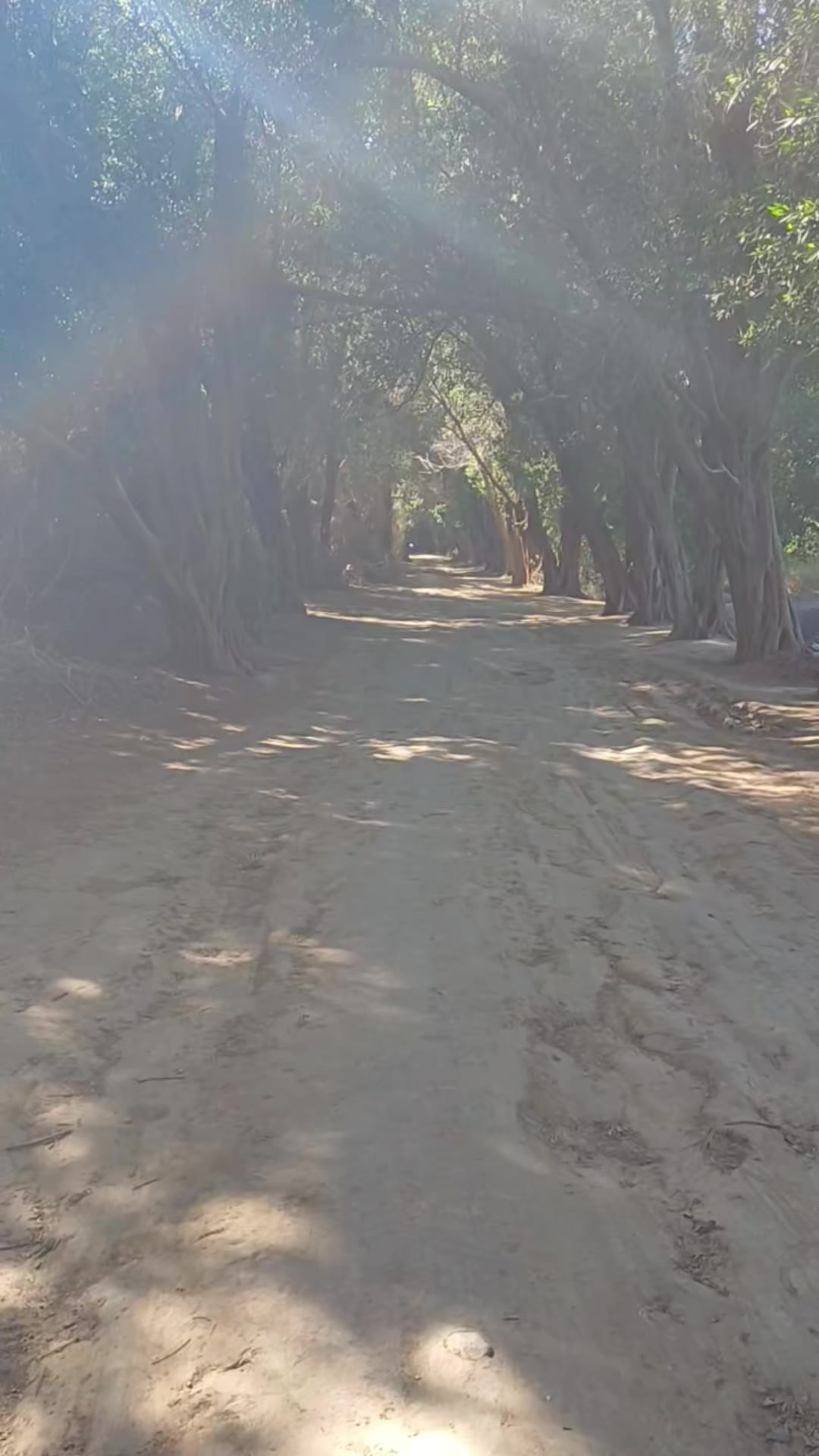 @aji puthukkudi