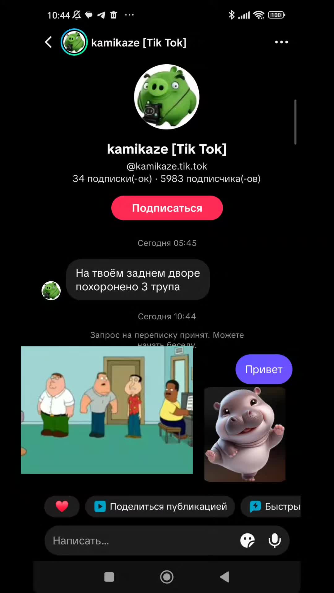 @Magrex
