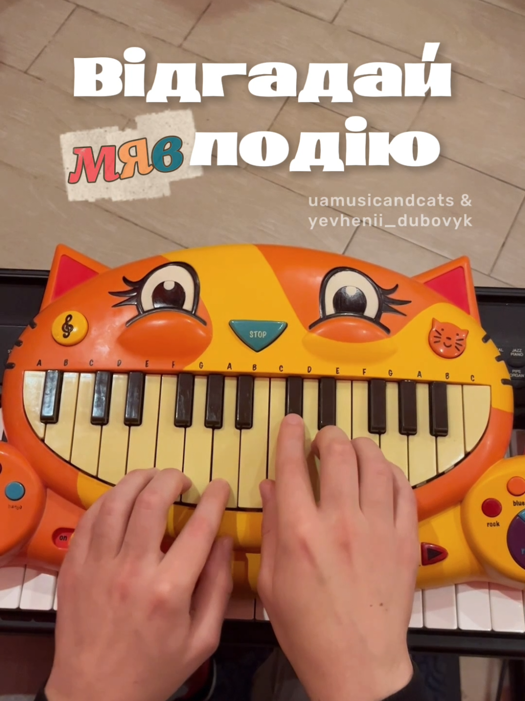 @🎧 музика і котики 🐱