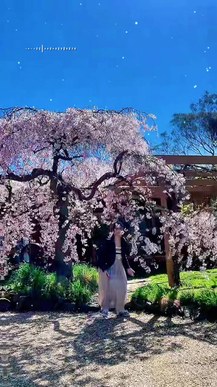 @🎀 𝒮𝒽𝒶𝓇𝒶𝓃 🎀