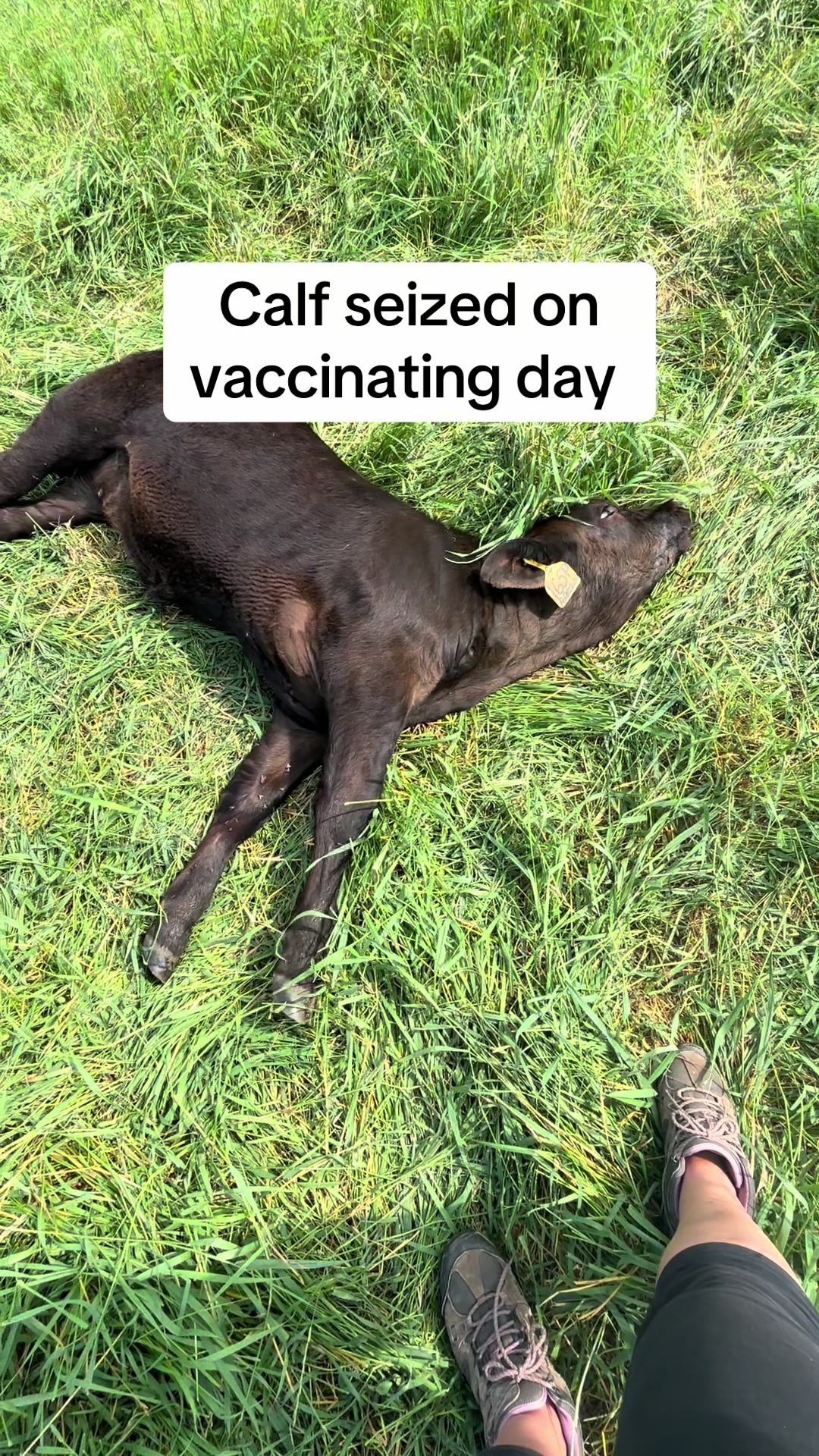 @KMT Farms 🇨🇦
