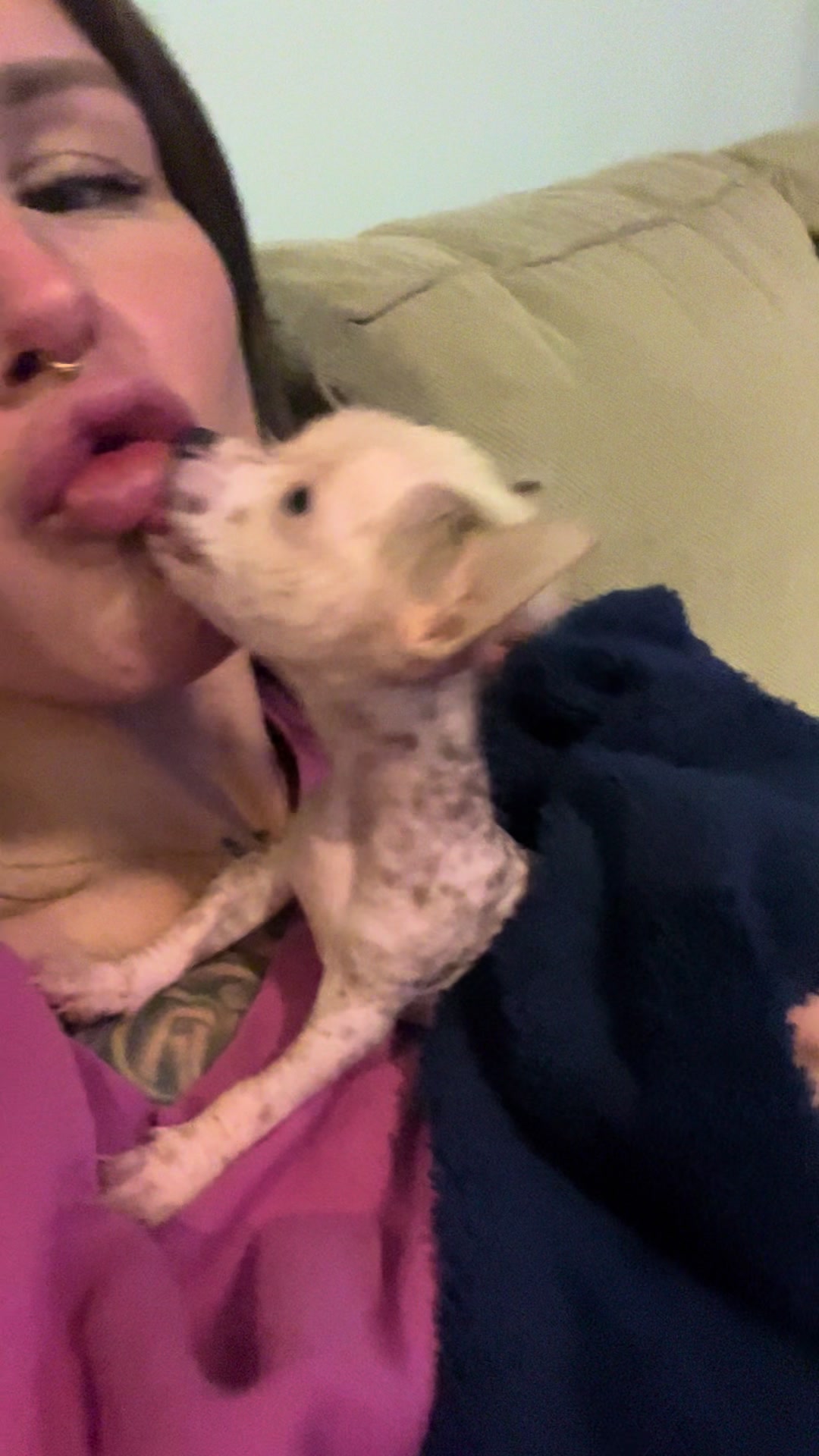 @Chinese Crested Cuties