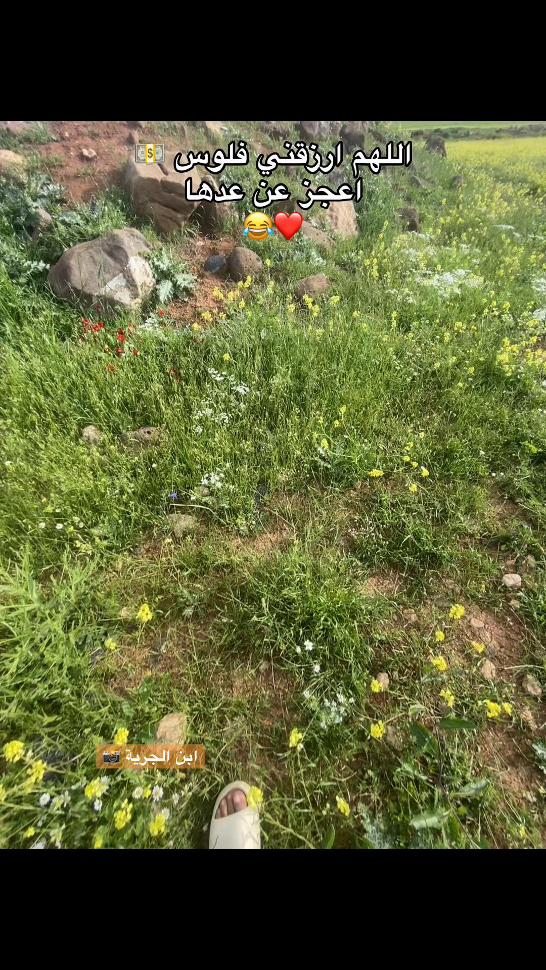 @أبن الجرية 📸