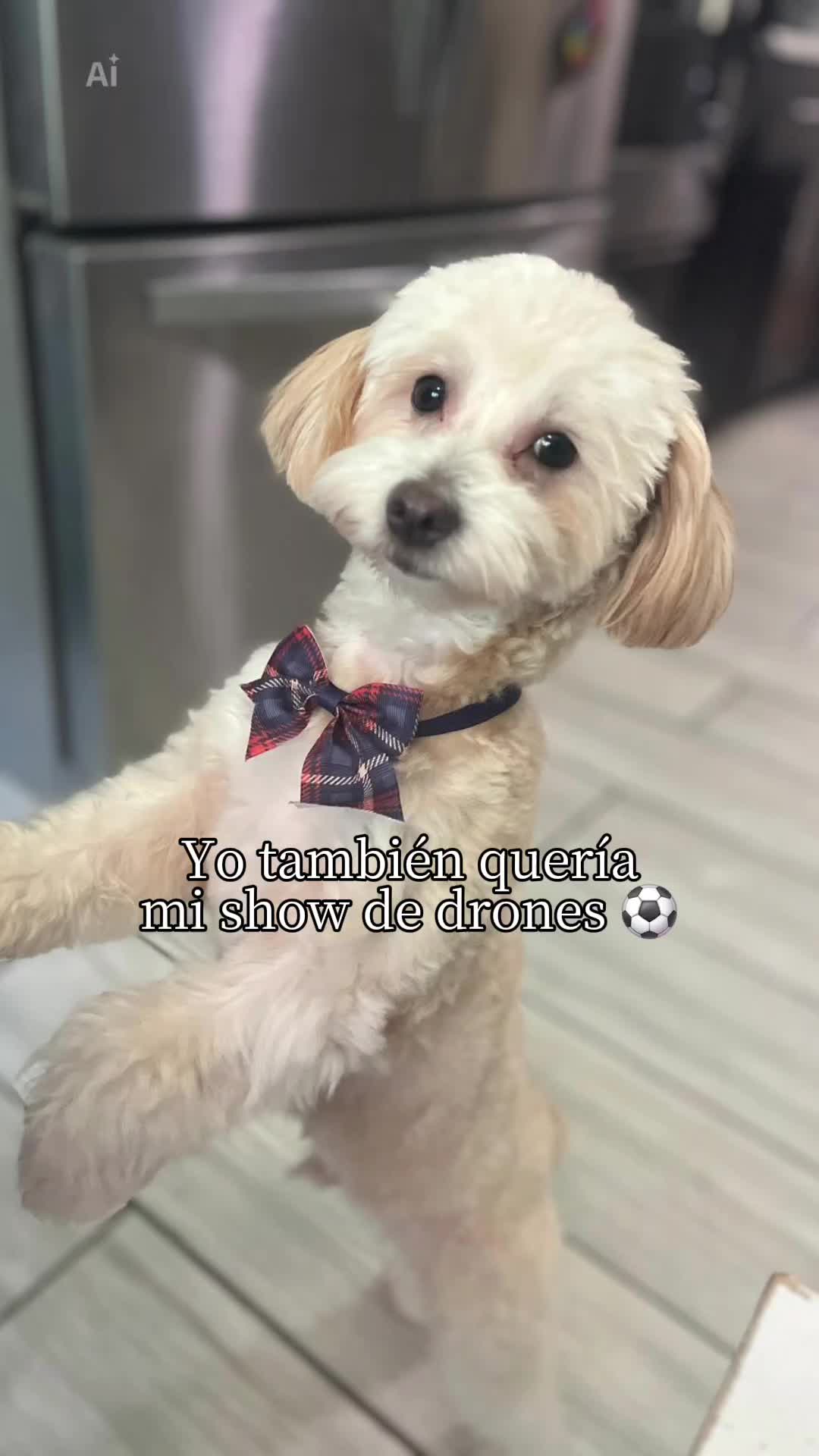 @rios8614303784714