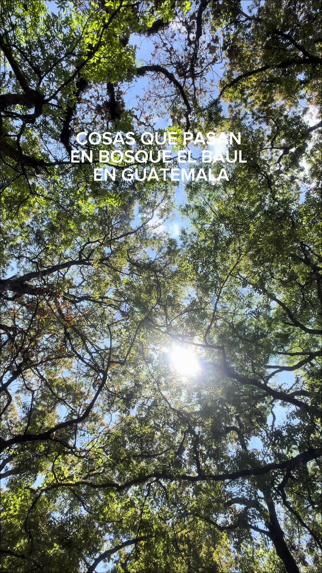 @Pistolas de Oro