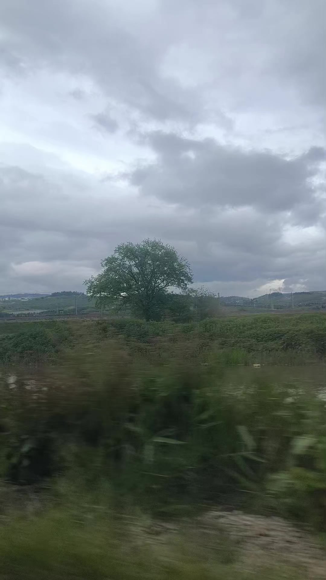 @just a little peace🇹🇷🇹🇷
