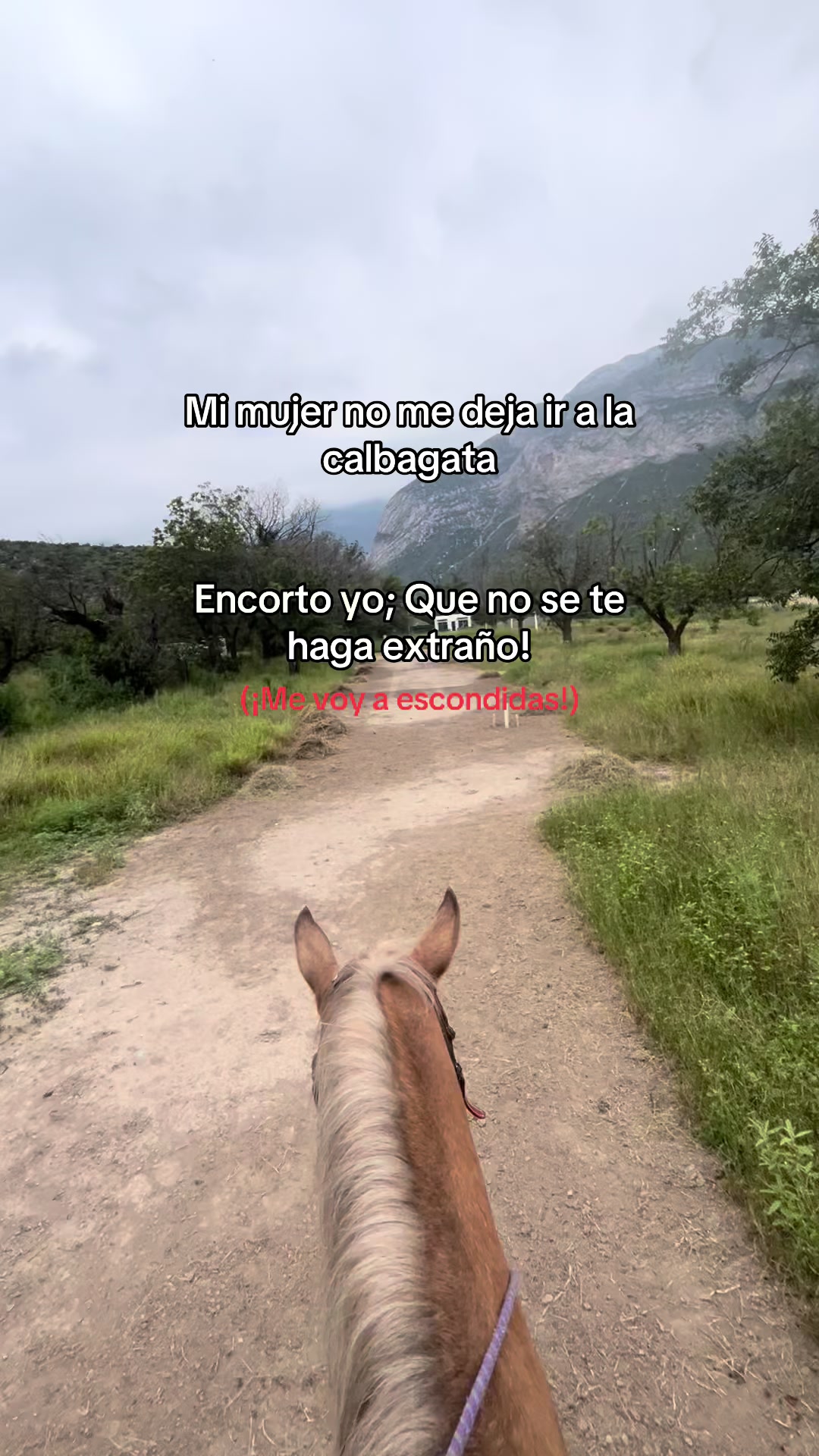 @El Wero Garc&iacute;a🤠🇲🇽