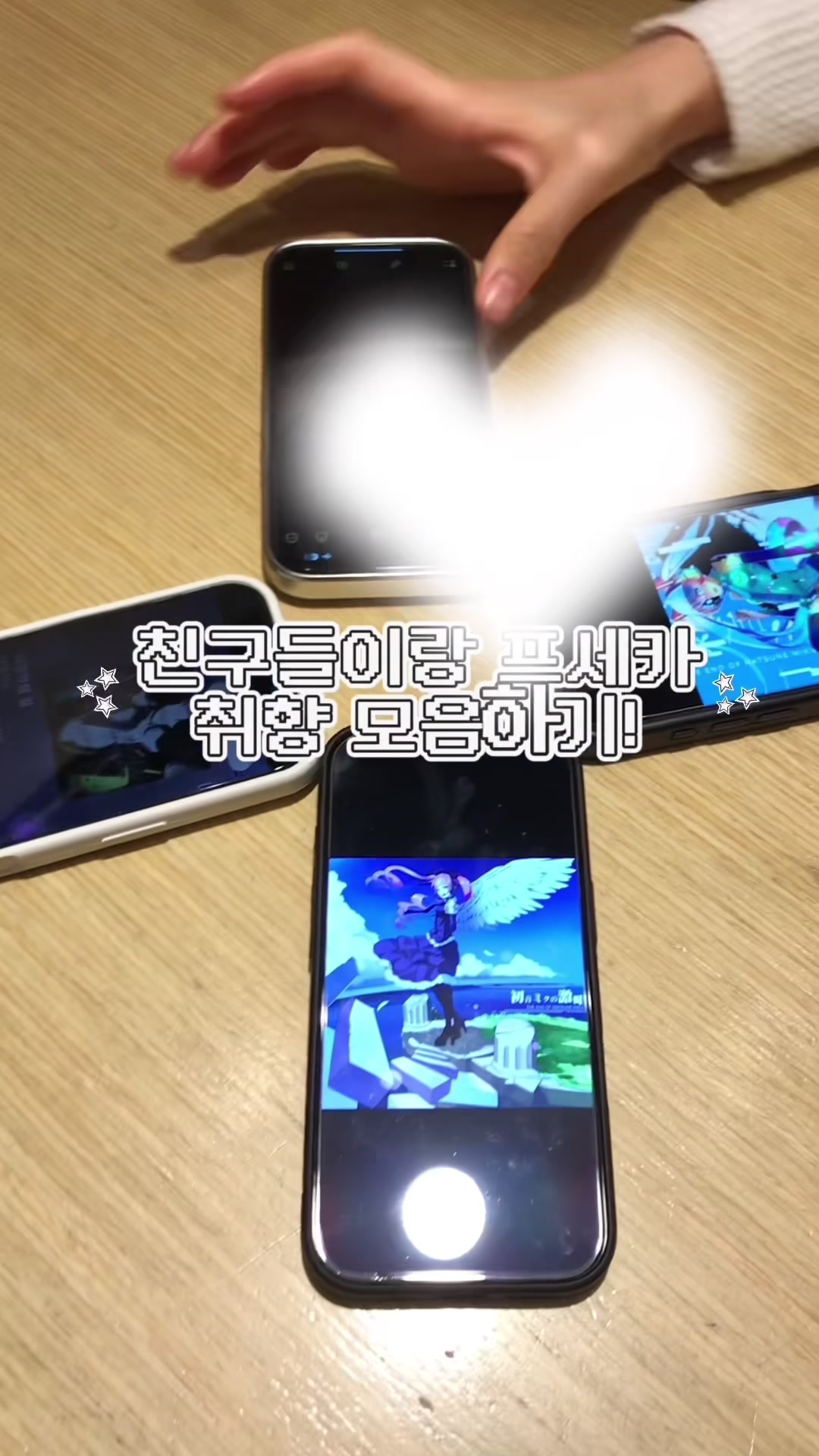 @미코의 세상