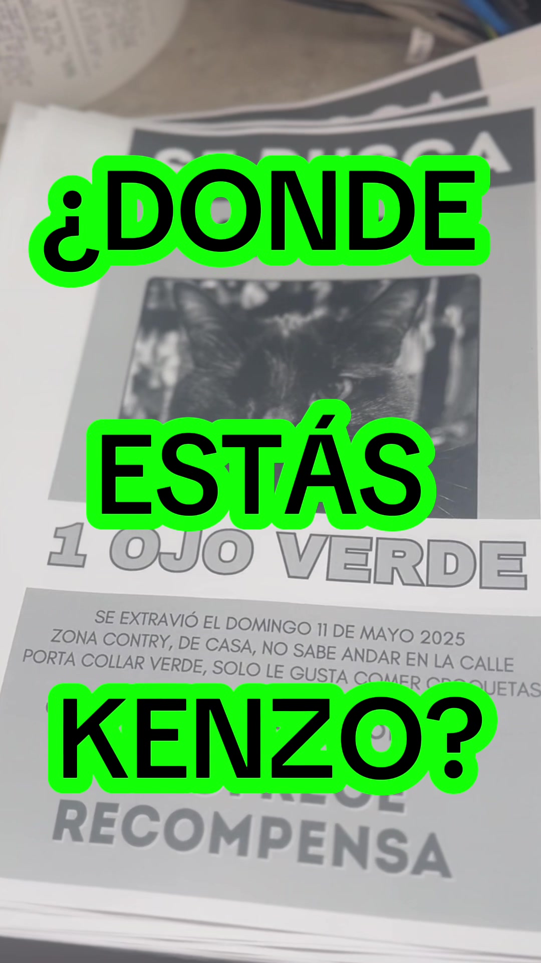 @karlz