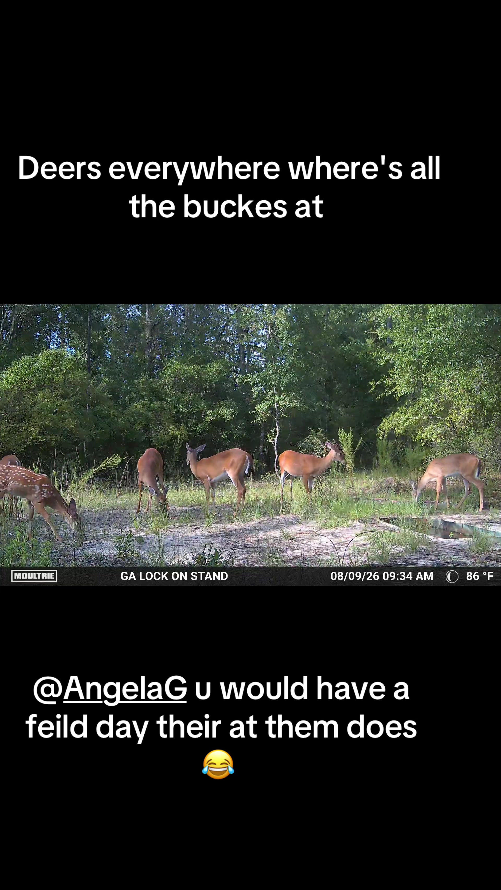 @GEORGIA STRING STALKER
