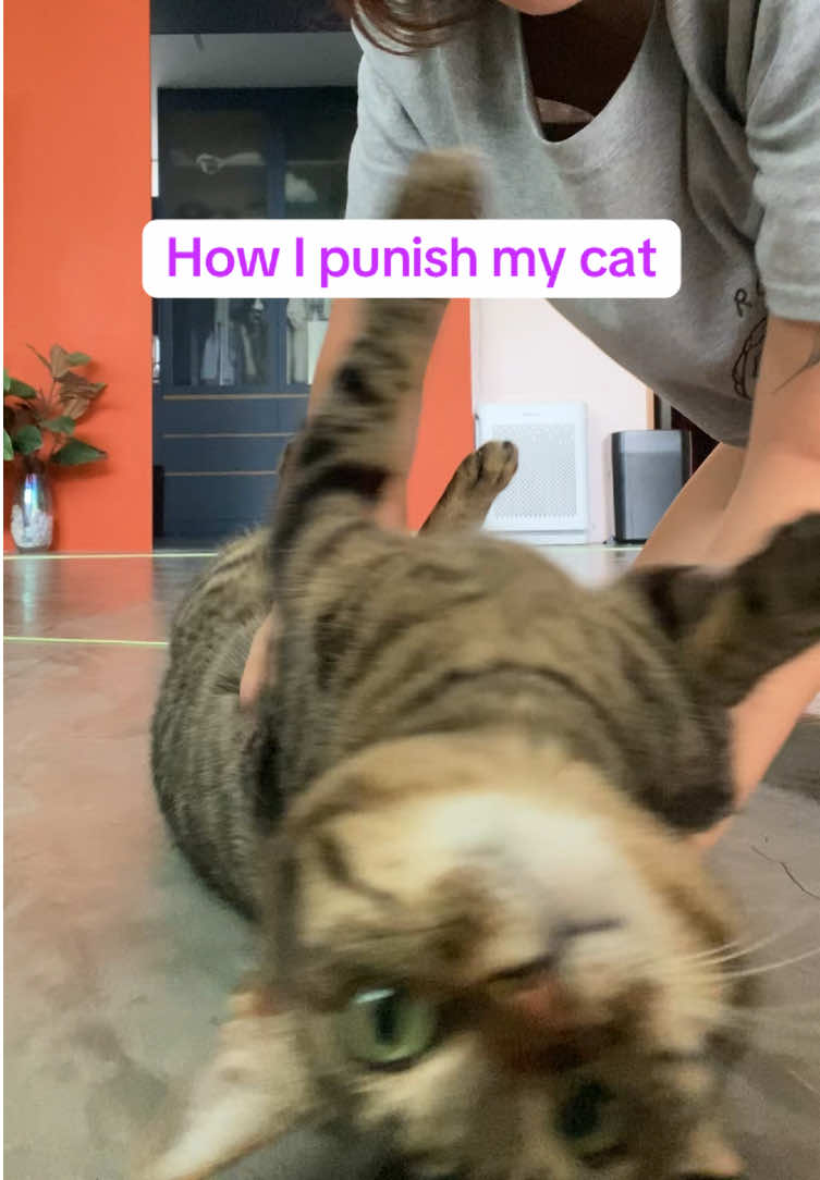 @OnePurrCuddle