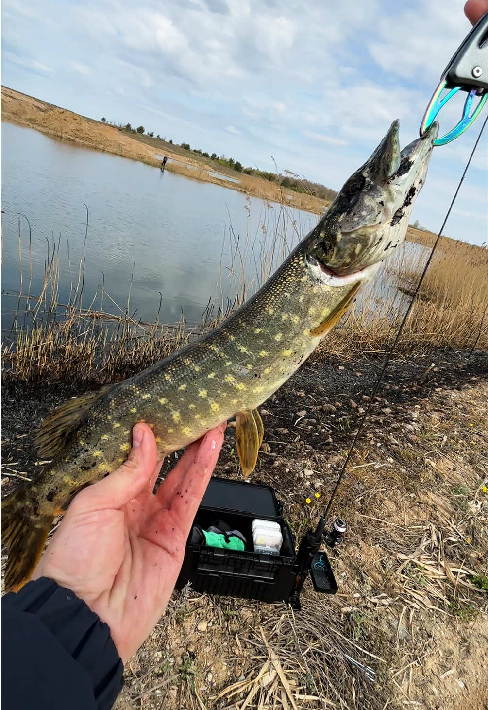 @Максим FastFisher