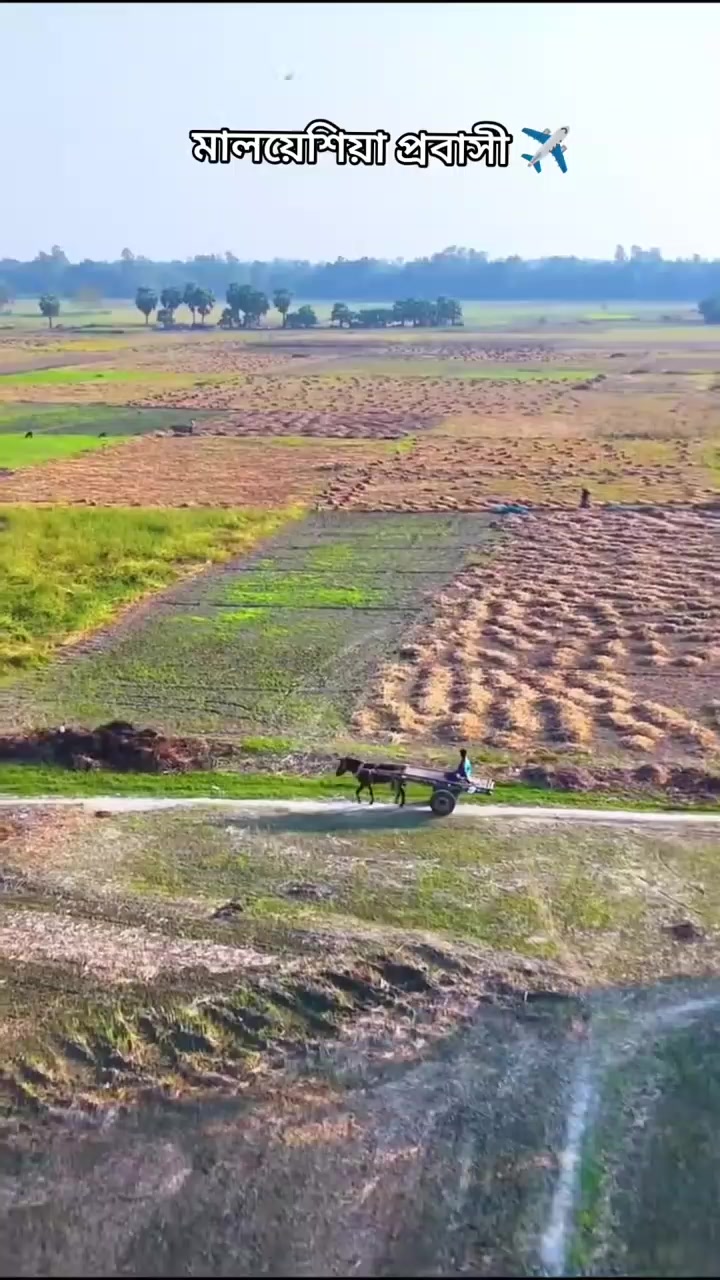 @রশিদ